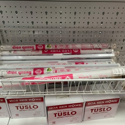 Bộ Đèn LED Tube Thủy Tinh Điện Quang  (0.6m - 9W Daylight)